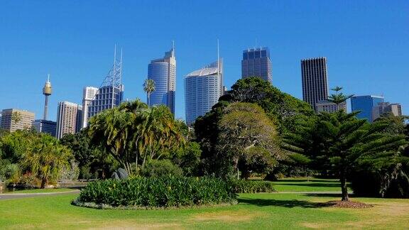 悉尼城市皇家植物园