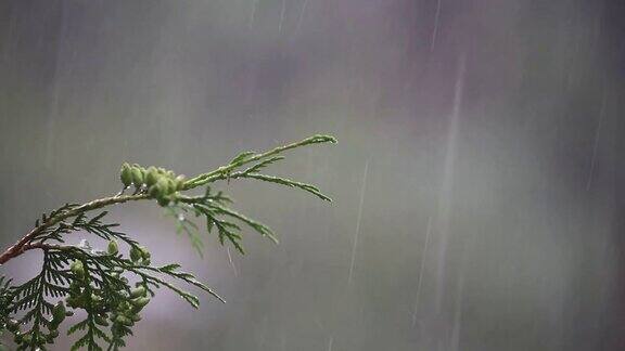 下大雨天气不好