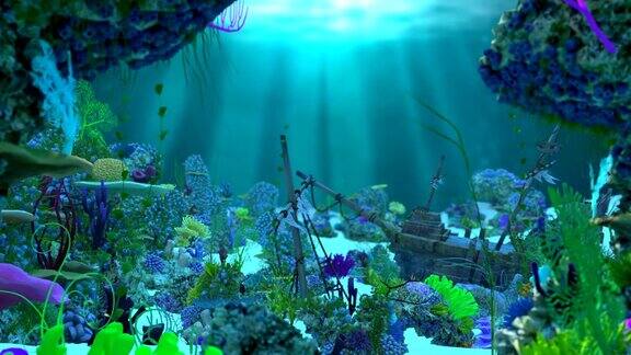 水下风景与珊瑚礁