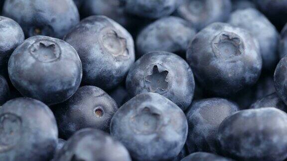 新鲜蓝莓水果背景