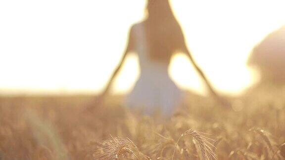 一个平静的女人在夕阳下穿过麦田