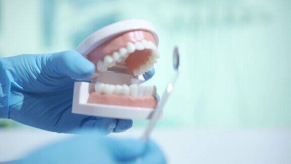 牙科医生在颌骨模型上显示牙齿问题蛀牙口腔卫生