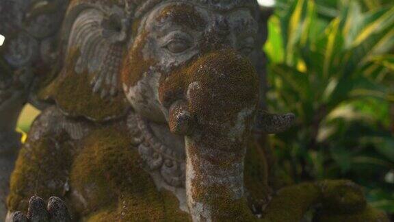 甘尼萨神的石像覆盖着苔藓的慢镜头定格镜头在一个热带花园