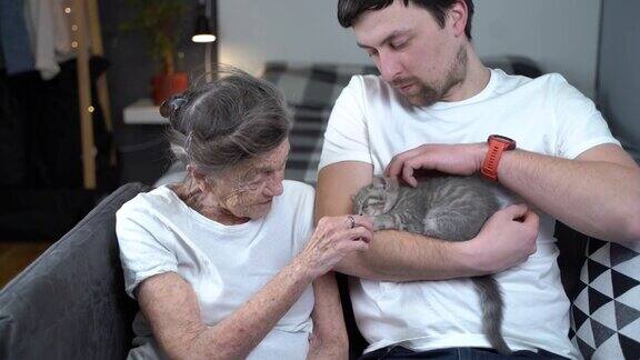 主题是在动物的帮助下对养老院老人的帮助和心理支持一位资深女士的志愿者助理在沙发上抚摸着可爱的小猫照顾有宠物的老年女性
