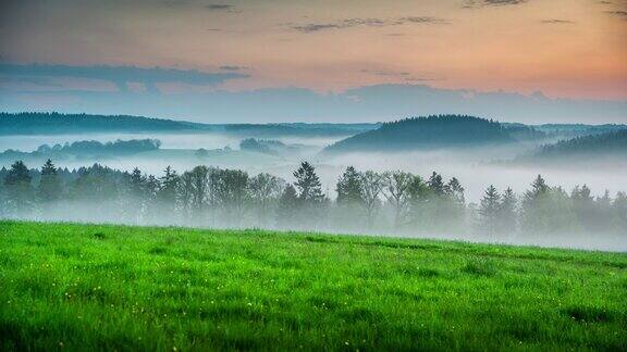 雾气笼罩着德国的乡村