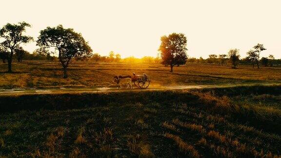 夕阳下的牛车