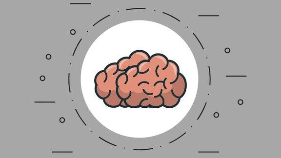人的大脑对圆形符号
