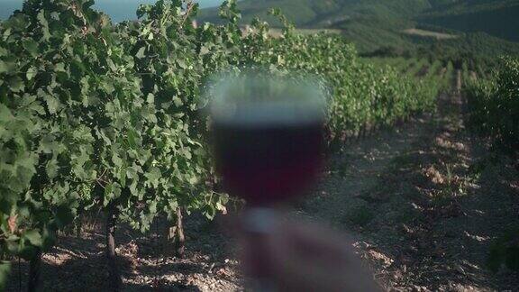 日落时分一个女人拿着一杯红酒背景是葡萄园和群山