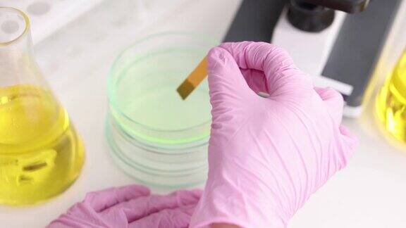 科学家化学家用石蕊试纸在培养皿中测试洗涤剂的酸度特写4k电影慢动作