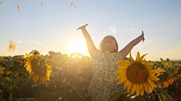慢镜头年轻女孩向空中扔向日葵花