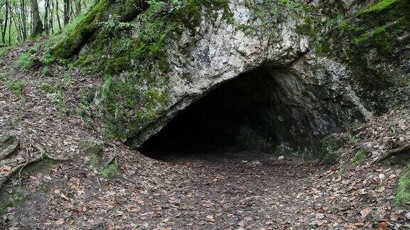 森林洞穴开口