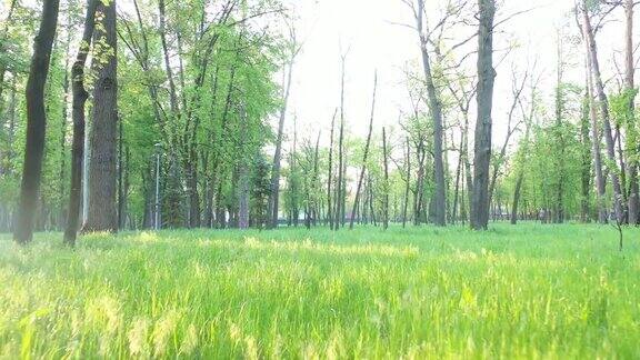 黎明时分一架无人机在绿草地上缓慢飞行阳光穿过树枝