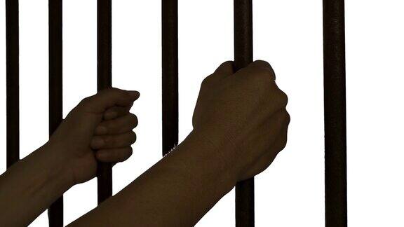 在白色背景下囚犯手握牢房铁栏罪犯被关在铁栏上