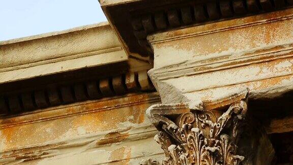 鸽子坐在用模子装饰的古代大理石建筑上