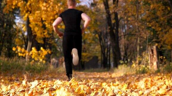 一个不知名的运动员在秋天的公园里跑步踩着干燥的枫叶男跑步者在多彩的落叶上慢跑年轻运动员在大自然中训练健康生活方式后视