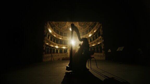 专业女竖琴演奏家的电影剪影正在一个经典的剧院舞台上演奏竖琴独奏