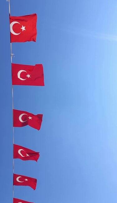 垂直视频蓝天下的土耳其国旗