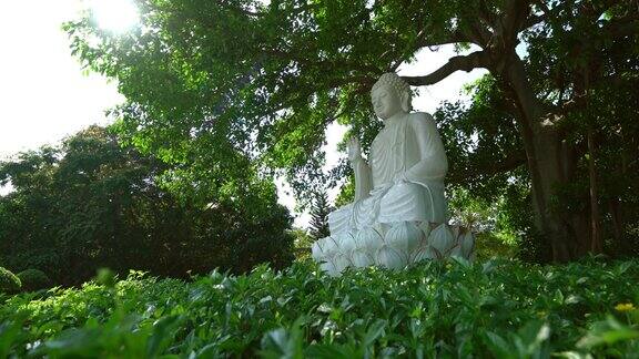 菩提树下的大理石冥想佛像