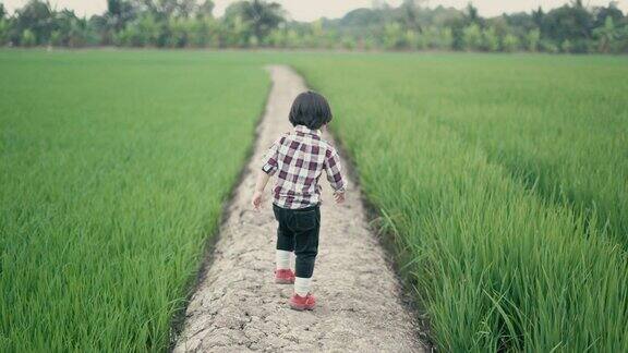 亚洲男孩在田野里散步