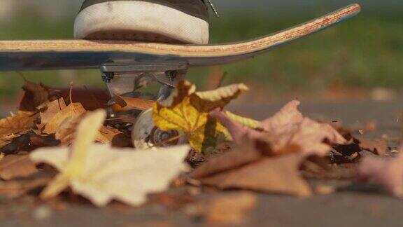 宏:滑板手滑完滑板后秋叶在空中飞舞