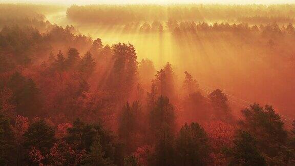 黎明时分一架无人机缓慢地飞过一条雾蒙蒙的铁路穿过秋天的森林