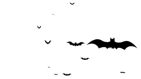 蝙蝠飞行动画月夜背景上的万圣节蝙蝠
