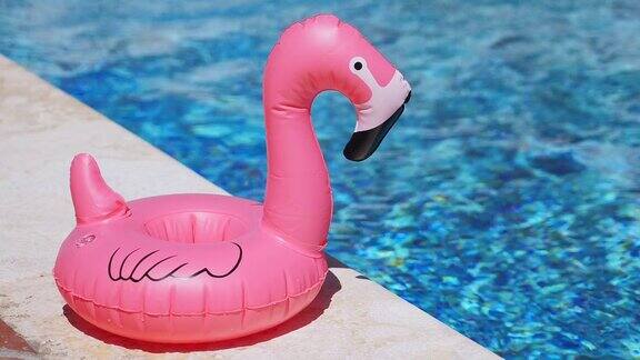 泳池边的粉红色火烈鸟充气玩具