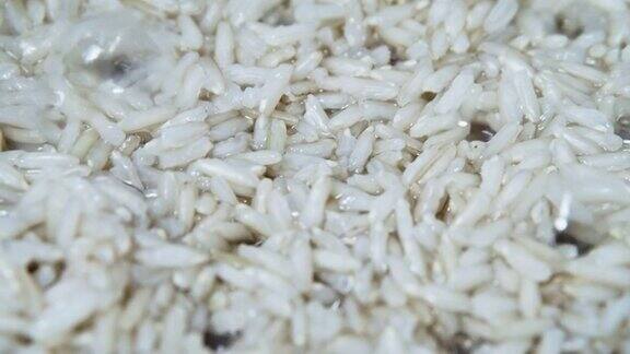 近距离观察煮熟的谷物米饭慢动作