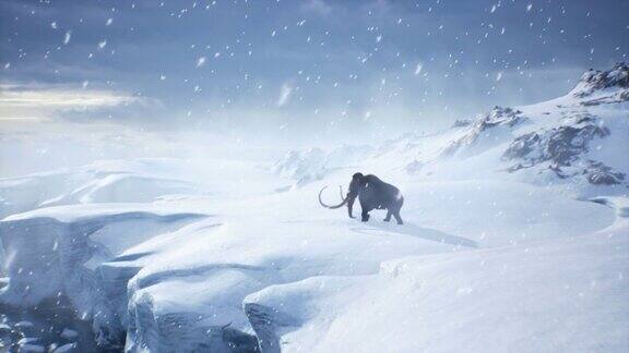在暴风雪中一只疲惫的古代猛犸象走在积雪覆盖的冰川上冬季自然条件下巨大的高冰川这部动画非常适合历史、自然和动物背景