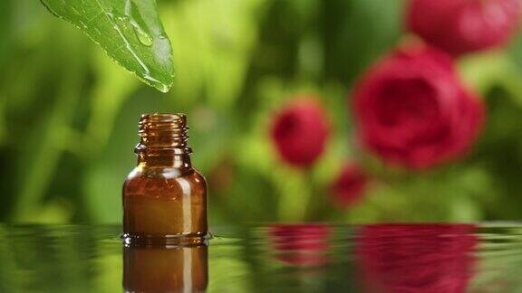 从叶子滴油到瓶子特写植物汁液在绿色背景上制作芳香血清滴花精华液护肤常规治疗spa概念传统医学