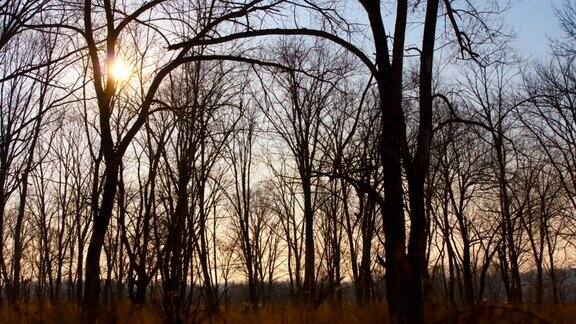 时间流逝与移动的树影在山林与阳光