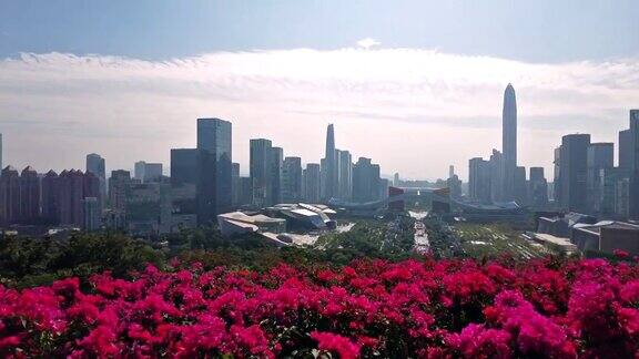 深圳城市景观延时摄影