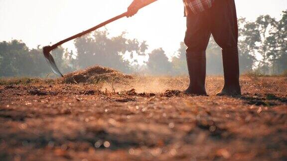 慢镜头农民在地里挖东西