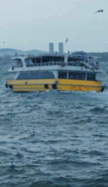 黄色的旅游船在波涛汹涌的海面上航行海鸥飞过海面-垂直