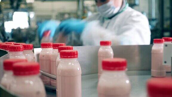 乳品工厂的工人从传送带上拿着装着酸奶的瓶子