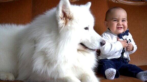 一个小男孩和他的朋友大白狗坐在沙发上