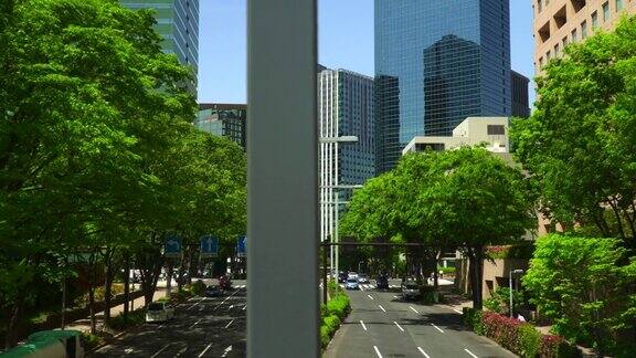 道路和交叉口现代化的办公大楼和新鲜的绿色树木