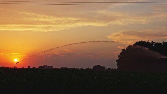 夕阳下玉米地里的灌溉系统