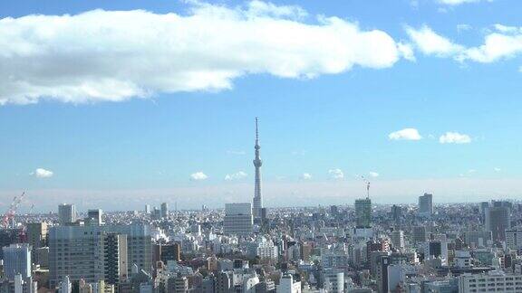 东京天空树鸟瞰图