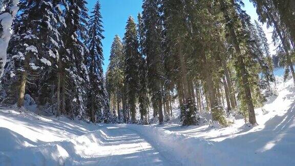 在一个阳光明媚的日子里行驶在雪地里的单行道上