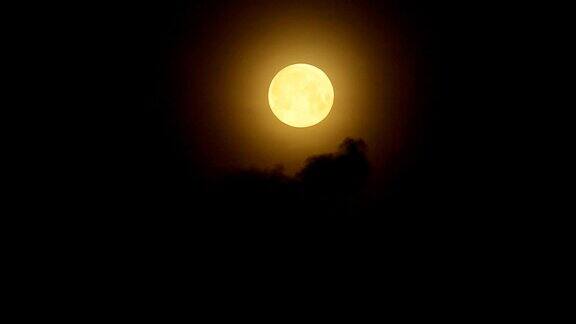 一团乌云在夜空的满月下飞翔