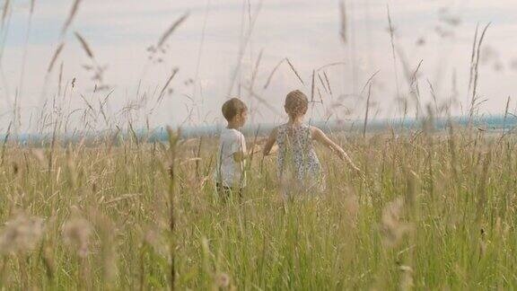 无忧无虑的男孩和女孩在阳光明媚、田园诗般的乡村田野里奔跑