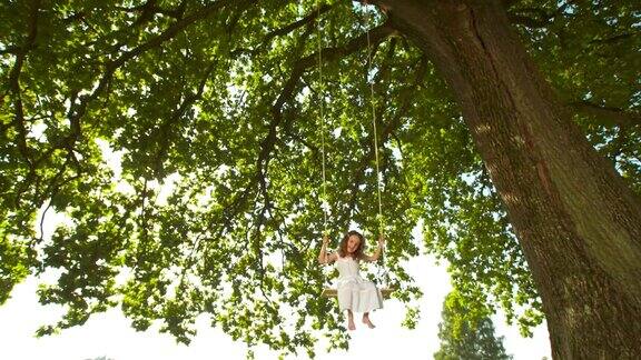 高清多莉:可爱的小女孩在树上荡秋千