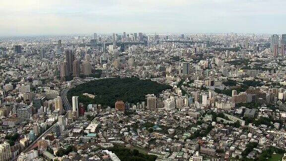 东京的日景