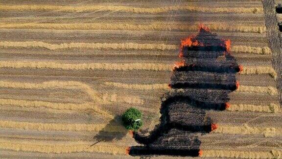 农民焚烧坡面植被残馀物导致土壤肥力下降环境退化