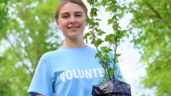 快乐的金发女人抱着树苗在镜头前微笑生态志愿者