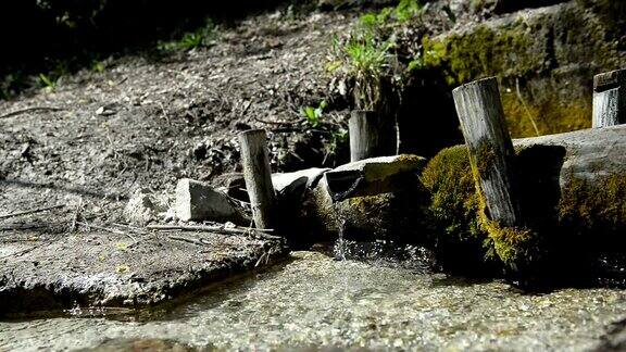 在森林中寻找干净的水源