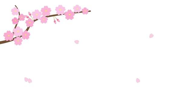 跳舞的樱花枝动画白色背景