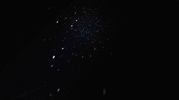 图为爱沙尼亚塔尔图夜晚飘落的雪花
