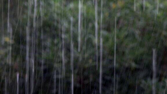 气候家里和花园里有雷雨和大雨